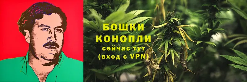 купить наркоту  Билибино  МАРИХУАНА OG Kush 